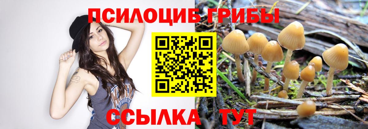 Галлюциногенные грибы ЛСД Каменка