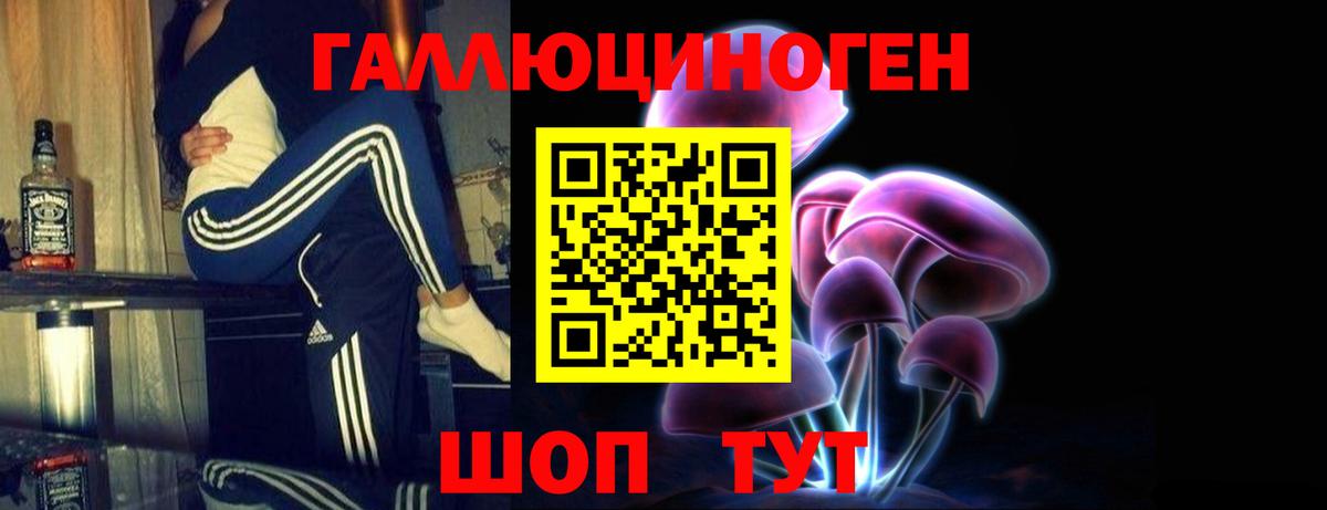 Каменка  Галлюциногенные грибы прущие грибы  Вход с VPN  Псилоцибиновые грибы мицелий 