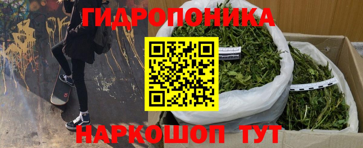 Псилоцибиновые грибы Каменка